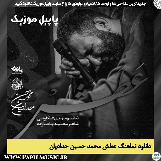 دانلود نماهنگ عطش از محمد حسین حدادیان